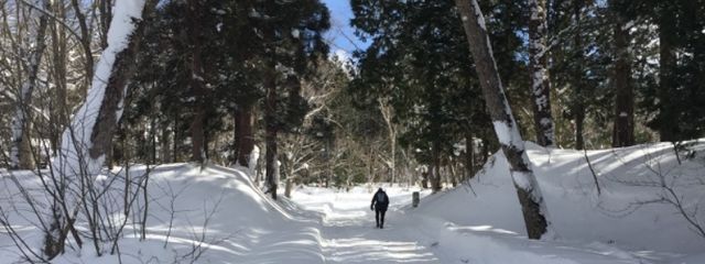 星喰　右左さんの壁紙画像