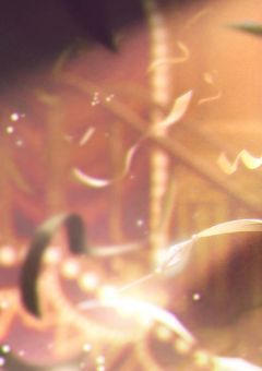 嘘つきだーれだ？