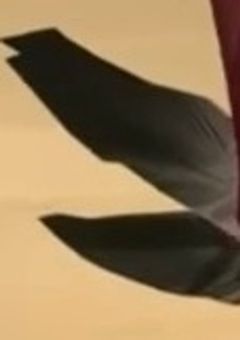 プロフィール
