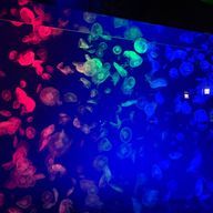 kan.🫧💚さんのアイコン画像