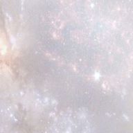 しゃけ茶さんのアイコン画像