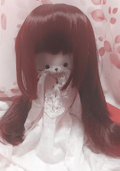 今日のｴｾ俳句