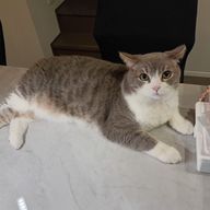 すおう !!さんのアイコン画像