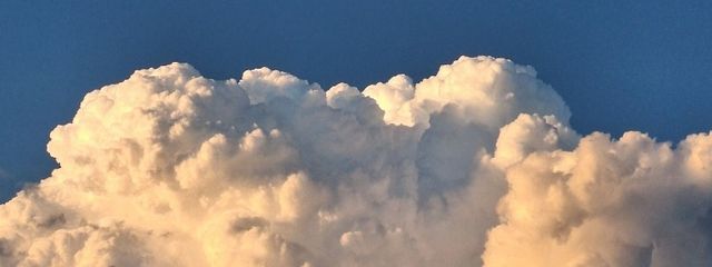 羊チョコ🐑💤🍫さんの壁紙画像