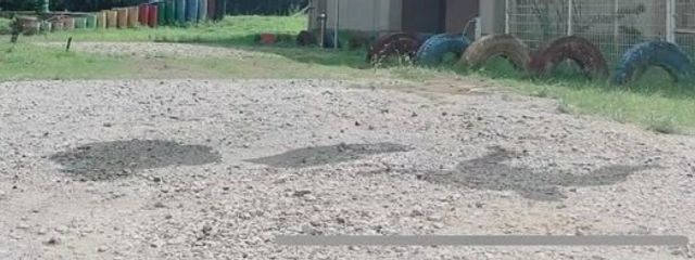 ぷらすちっく 。さんの壁紙画像