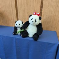 春さんのアイコン画像