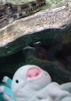 よなよなラジオ