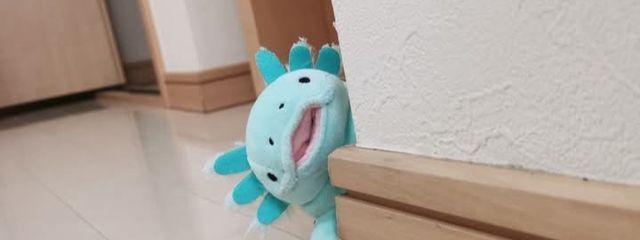 伊藤樹さんの壁紙画像