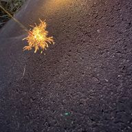 ゴンザレス田中さんのアイコン画像