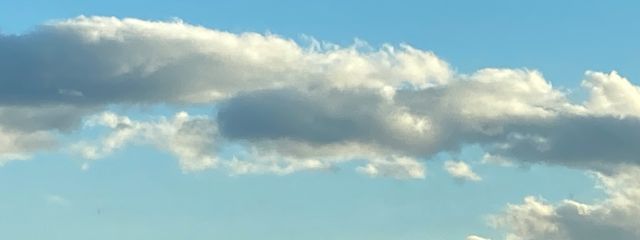 くーさんの壁紙画像
