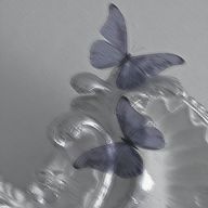 夜月。さんのアイコン画像