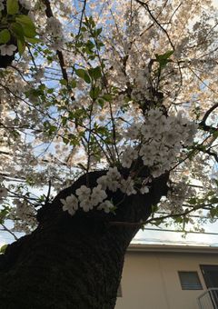 ワートリ　短編集（と言うなの思いついたやつ書くだけのもの）