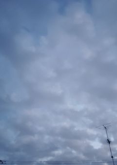 〚　君 に 恋 を し て　〛