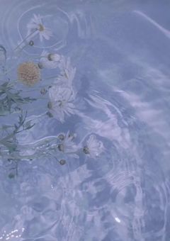 関係者募集中〜