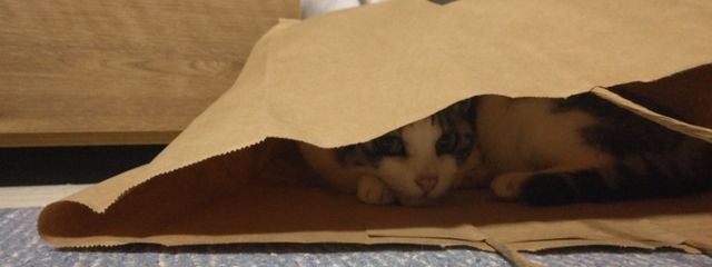 弦鐘さんの壁紙画像