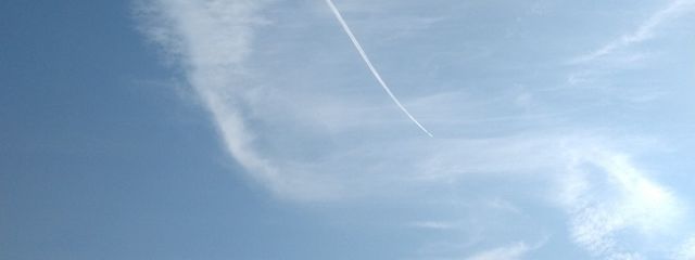 れもさんの壁紙画像