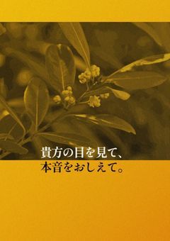 貴方の目を見て、本音をおしえて。