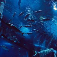 窓ガラスさんのアイコン画像