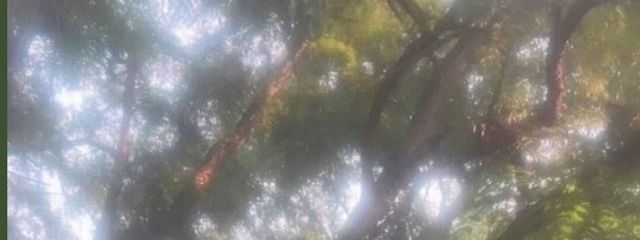皐月うるさんの壁紙画像