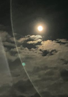 この恋、信じていいですか？