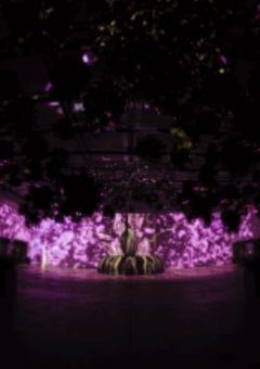 私のお姉ちゃんは絶対的エース。