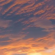 うふふさんのアイコン画像