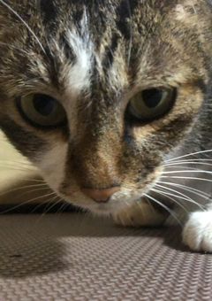 これ多分実話書く(多分だからね‼︎)