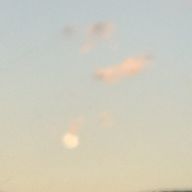 もなかさんのアイコン画像