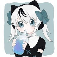 するめいか。さんのアイコン画像