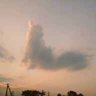 ayaさんのアイコン画像