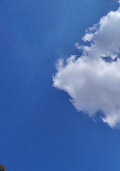 ⛄️さん体調不良小説