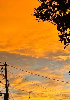 倿®ãæã®éè«éšå± âïž.°ââŸÂ·Ì©Íê³