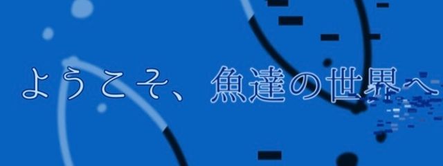〖溟海水族館・研究所〗公式さんの壁紙画像