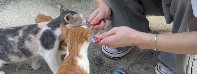 수현．@ひなとペア画中。さんの壁紙画像