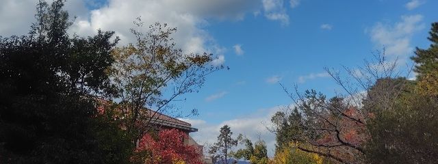 さや🫒さんの壁紙画像