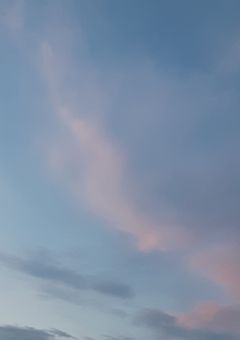 𐙚DIVEJAMの毎日日記🐱🐰∘°