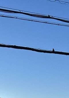 何時だって笑顔を...