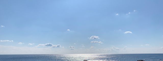 さわさんの壁紙画像