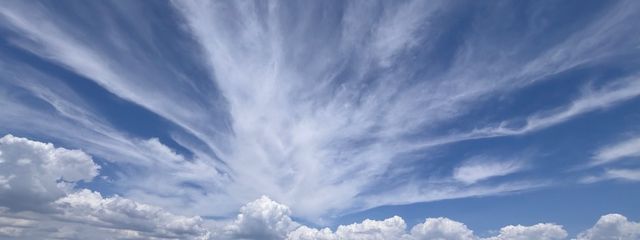 吉田さんの壁紙画像