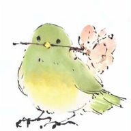 春さんのアイコン画像