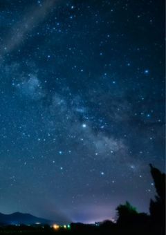 ラポネ　体調不良