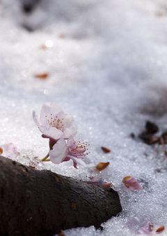 何度繰り返したって、きっと。