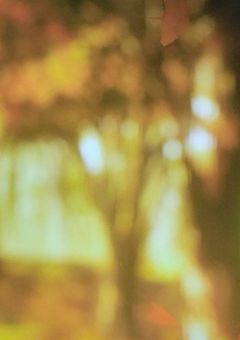 時透兄弟との夜🔞