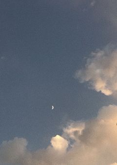 元大国総統の護衛、復讐に出ます