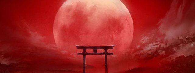 花郷　椿(ﾊﾅｻﾞﾄ      ﾂﾊﾞｷ)さんの壁紙画像
