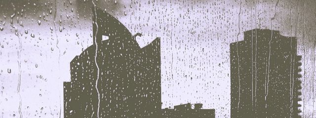 のいずめいかーさんの壁紙画像