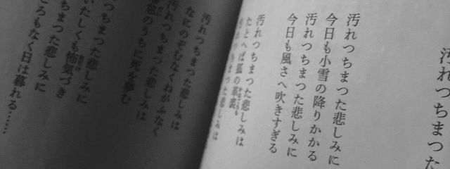 Hikaruさんの壁紙画像