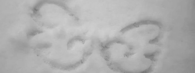 ふよ✮*ഒさんの壁紙画像