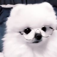 　ねる‎‎‎³さんのアイコン画像