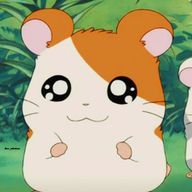 こ　は　ねさんのアイコン画像